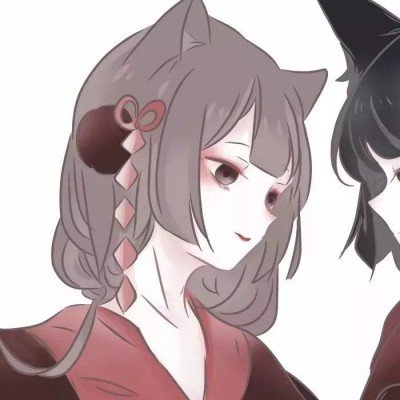 马斯克中文发帖
